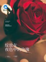 綻放在夜色中的玫瑰