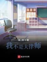 我不是大律師