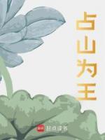 占山為王
