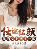 仕途紅顏，我的女上司不一般！