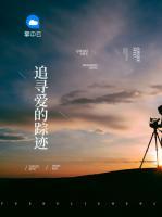 追尋愛的蹤跡