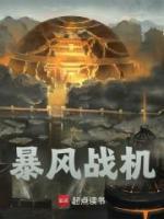 暴風(fēng)戰(zhàn)機(jī)
