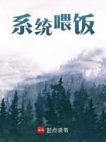 系統(tǒng)喂飯