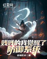 賤賤的我覺醒了防御系統(tǒng)
