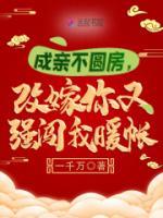 成親不圓房，改嫁你又強(qiáng)闖我暖帳