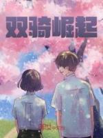 雙騎崛起