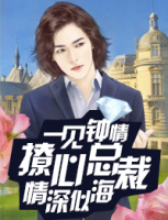 一見(jiàn)鐘情：撩心總裁情深似海