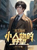 權(quán)力巔峰：小人物的野望