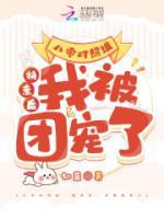 八零對(duì)照組：換親后，我被團(tuán)寵了