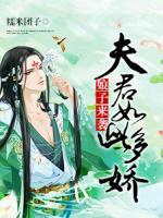 娘子來襲：夫君如此多嬌