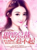 重生辣妻：傲嬌總裁，惹不起！