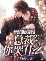 姜秘書(shū)懷孕，總裁你哭什么？