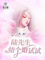 陸先生，結(jié)個婚試試