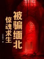 被騙緬北，驚魂求生