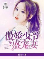 傲嬌少爺盛寵妻