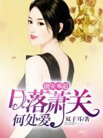 前妻難追：日落蕭關(guān)何處愛