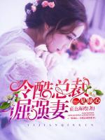 一見傾心，冷酷總裁倔強妻