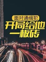 面對(duì)通緝犯，開局給他一板磚