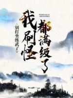 別打坐練武了，我刷怪都滿級了