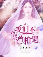 如果我們不曾相遇