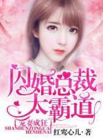 寵妻成狂：閃婚總裁太霸道