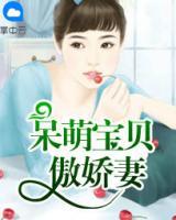 呆萌寶貝傲嬌妻