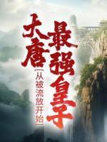大唐最強皇子：從被流放開始