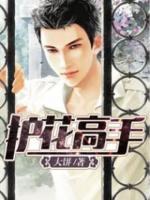 護(hù)花高手