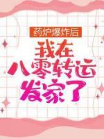 藥爐爆炸后，我在八零轉(zhuǎn)運(yùn)發(fā)家了
