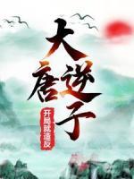 大唐逆子：開局就造反