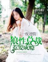 狼性總裁惹愛成癮