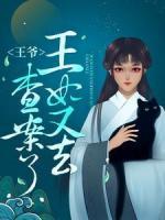 王爺，王妃又去查案了