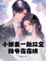 小嬌妻一胎雙寶，陸爺夜夜哄！