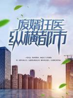 廢婿狂醫(yī)縱橫都市