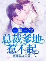 一胎三寶，總裁爹地惹不起