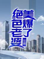 狂婿：絕色老婆美爆了
