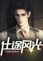 仕途風(fēng)光