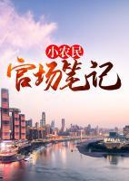 小農(nóng)民官場筆記