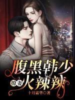 腹黑韓少撩妻火辣辣