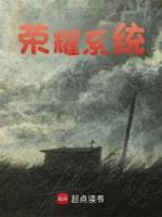 榮耀系統(tǒng)