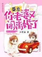 盛總，你老婆又鬧離婚了