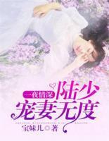 一夜情深：陸少寵妻無度