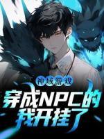 神域游戲：穿成NPC的我開掛了