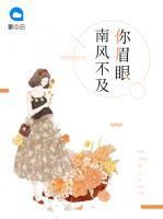 南風(fēng)不及你眉眼