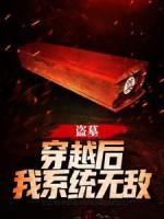 盜墓：穿越后我系統(tǒng)無(wú)敵