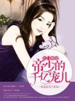 名門摯愛：帝少的千億寵兒