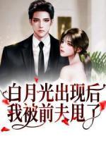白月光出現(xiàn)后，我被前夫甩了