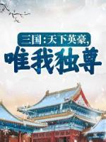 三國：天下英豪，唯我獨尊！