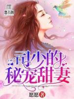 司少的秘寵甜妻