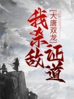 大唐雙龍：我殺敵證道